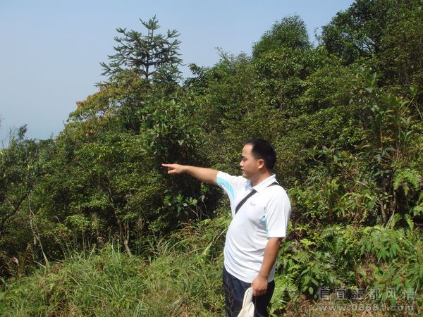 �쳬��ʼ��ָ�㡰������ˮ����