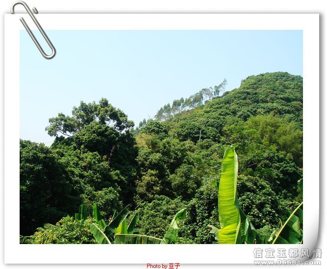 nEO_IMG_DSC06376.jpg