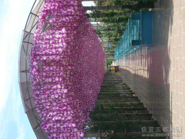 DSC05672.JPG