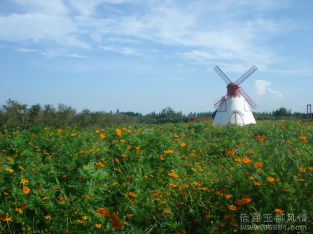 DSC05741.JPG