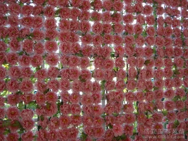 DSC05666.JPG