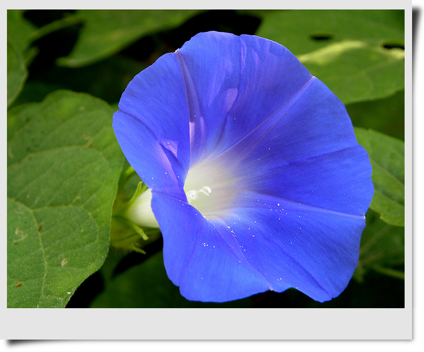 DSCN2790.jpg