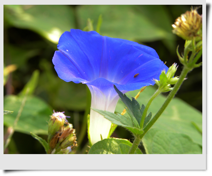 DSCN2805.jpg