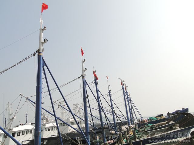 DSC02090.JPG