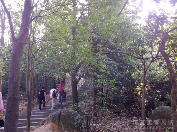 200910311928.jpg