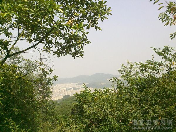 200910311932.jpg