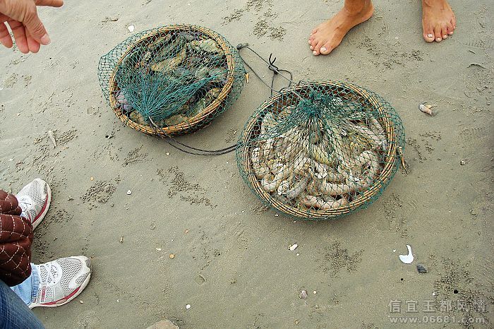 nEO_IMG_DSC08544.jpg