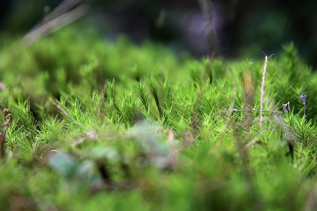 IMG_1219.JPG
