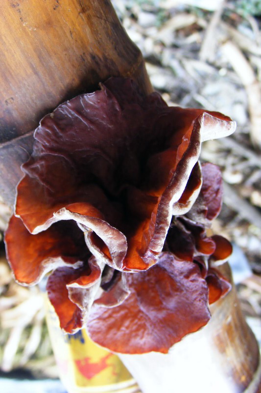 DSCF6892.JPG