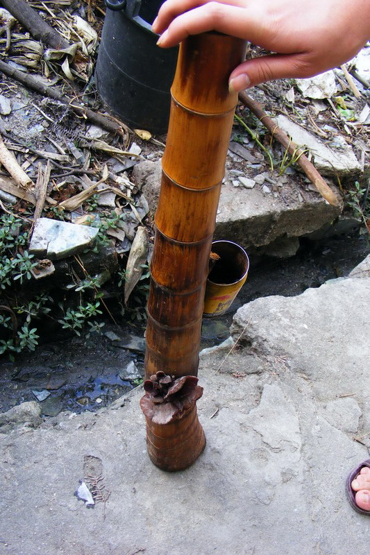 DSCF6888.JPG