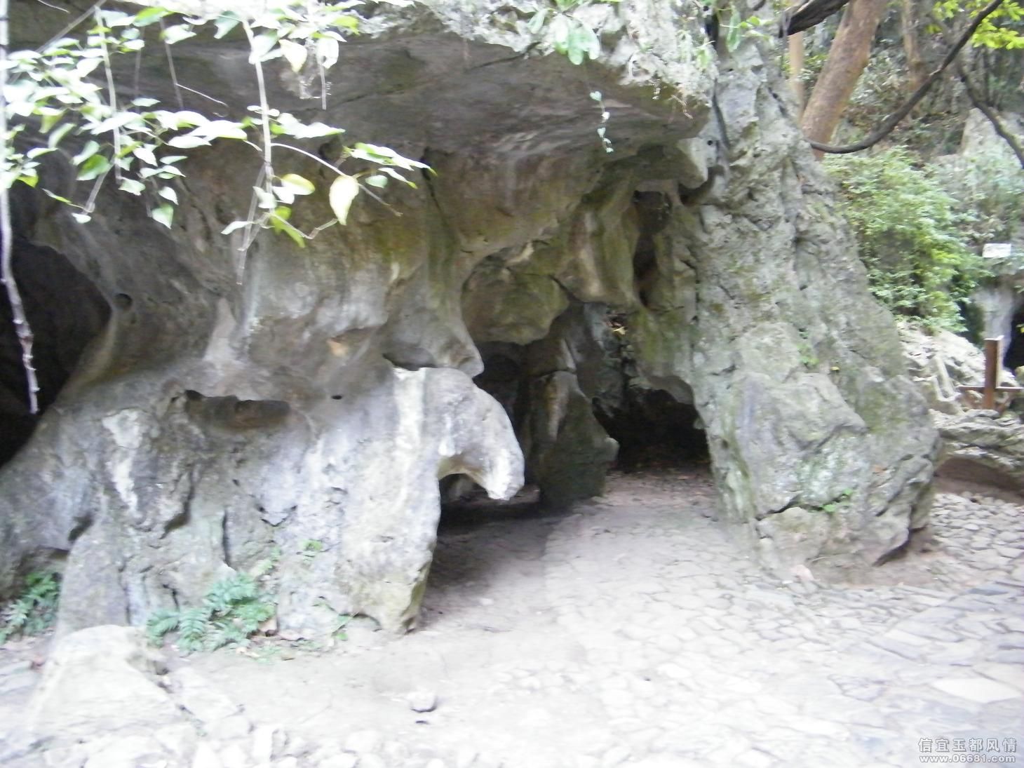 DSCF9904.JPG