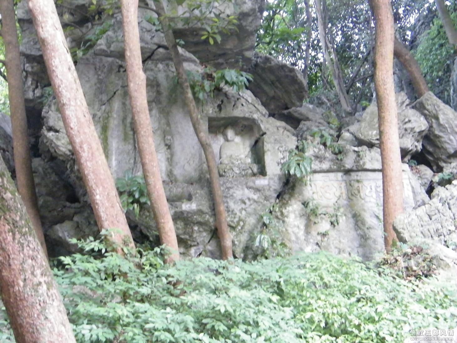 DSCF9931.JPG