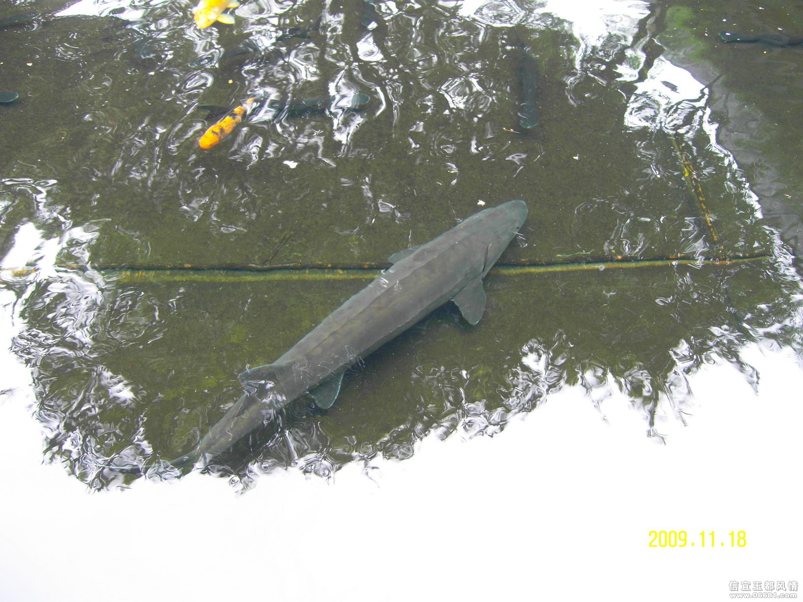 SDC12963.JPG