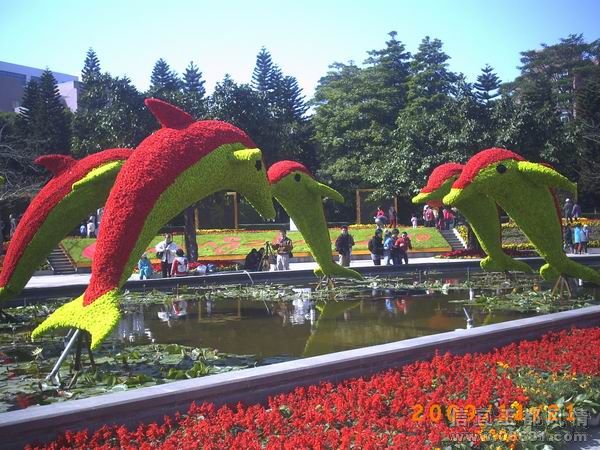 PICT0207.JPG