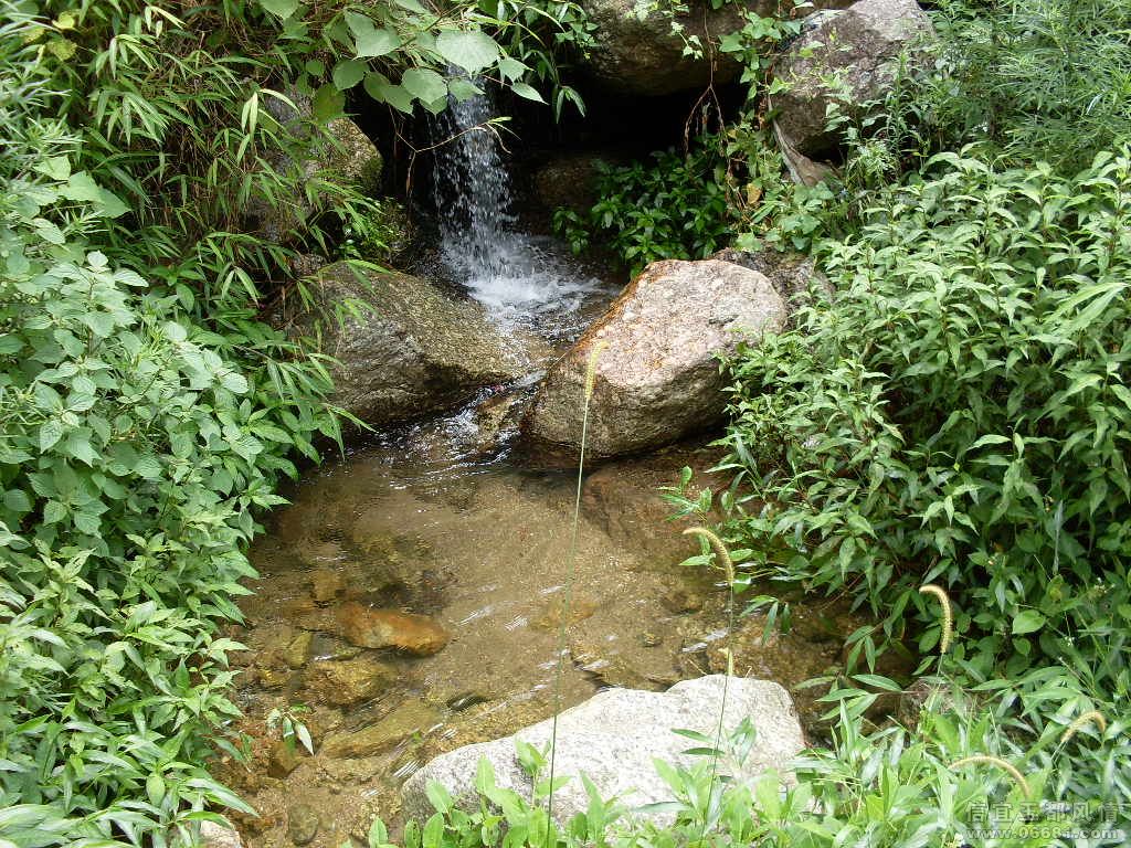 SDC17853.JPG