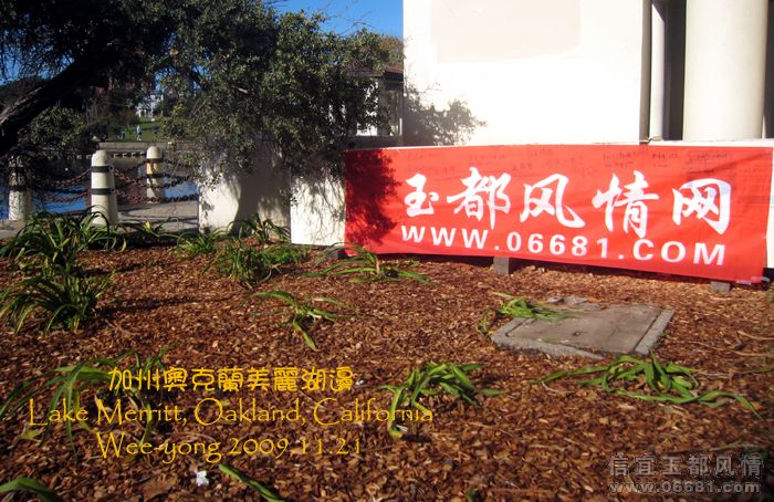 LakeMerritt-Xinyi_1.jpg
