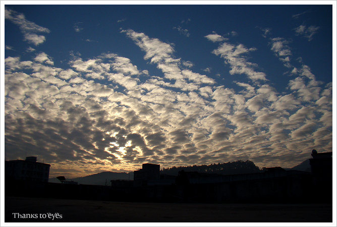 DSC094161.jpg