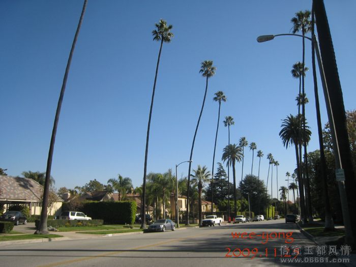 Beverly_3.jpg