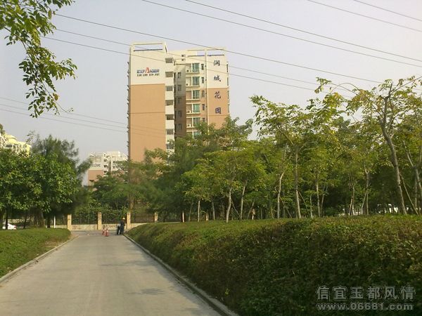 20091129012.jpg