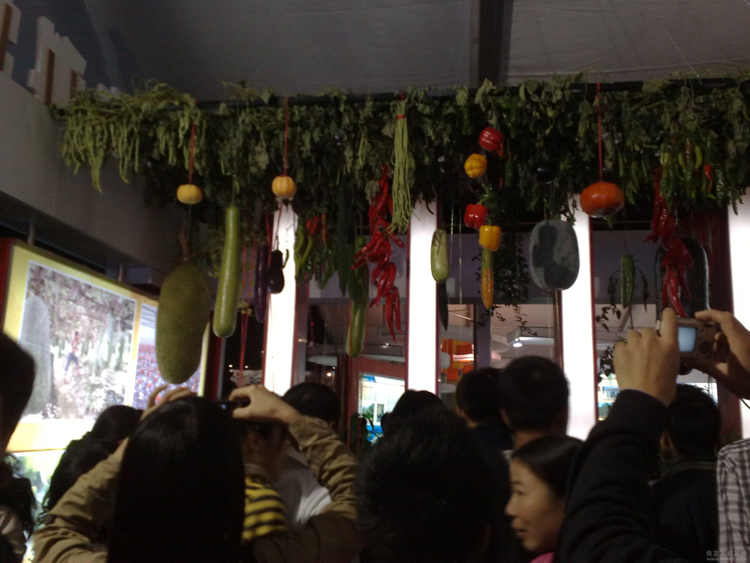 20091225470.jpg
