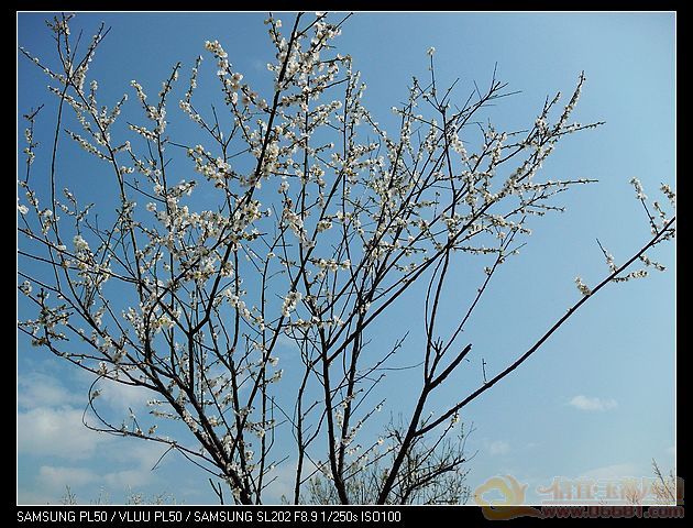 nEO_IMG_SDC10355.jpg