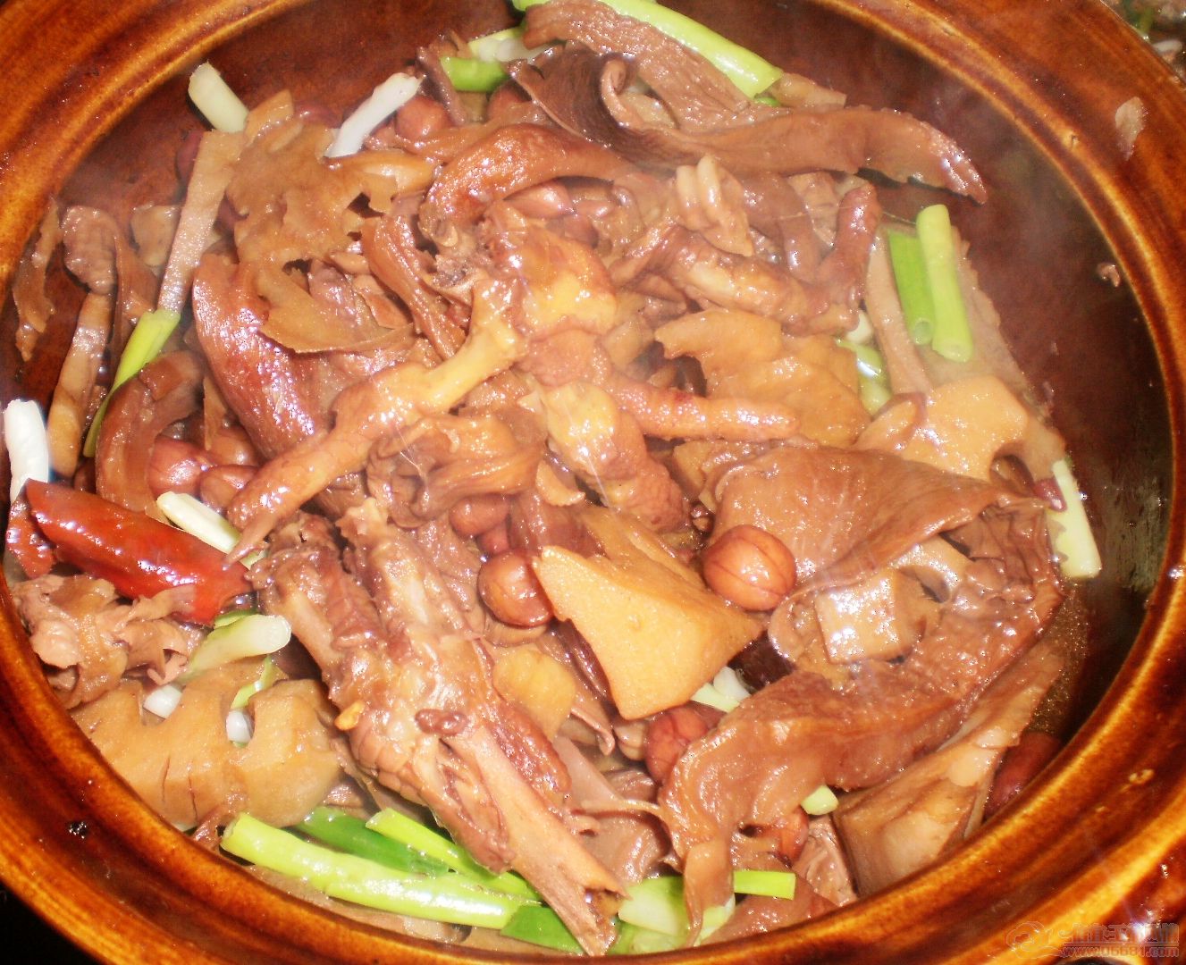 P1020061_neo_bak.JPG