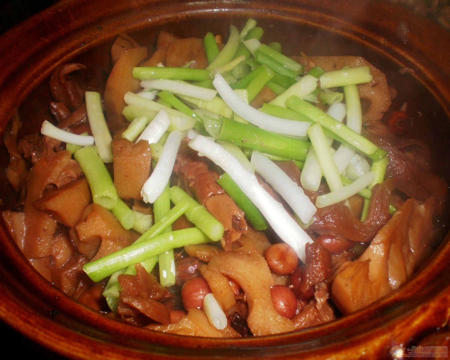 P1020059_neo_bak.JPG