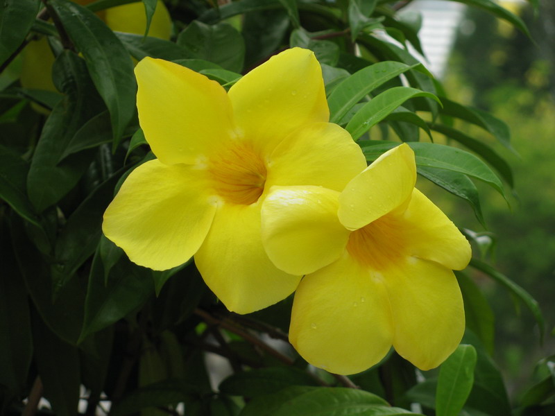 ��Ƭ 035.JPG