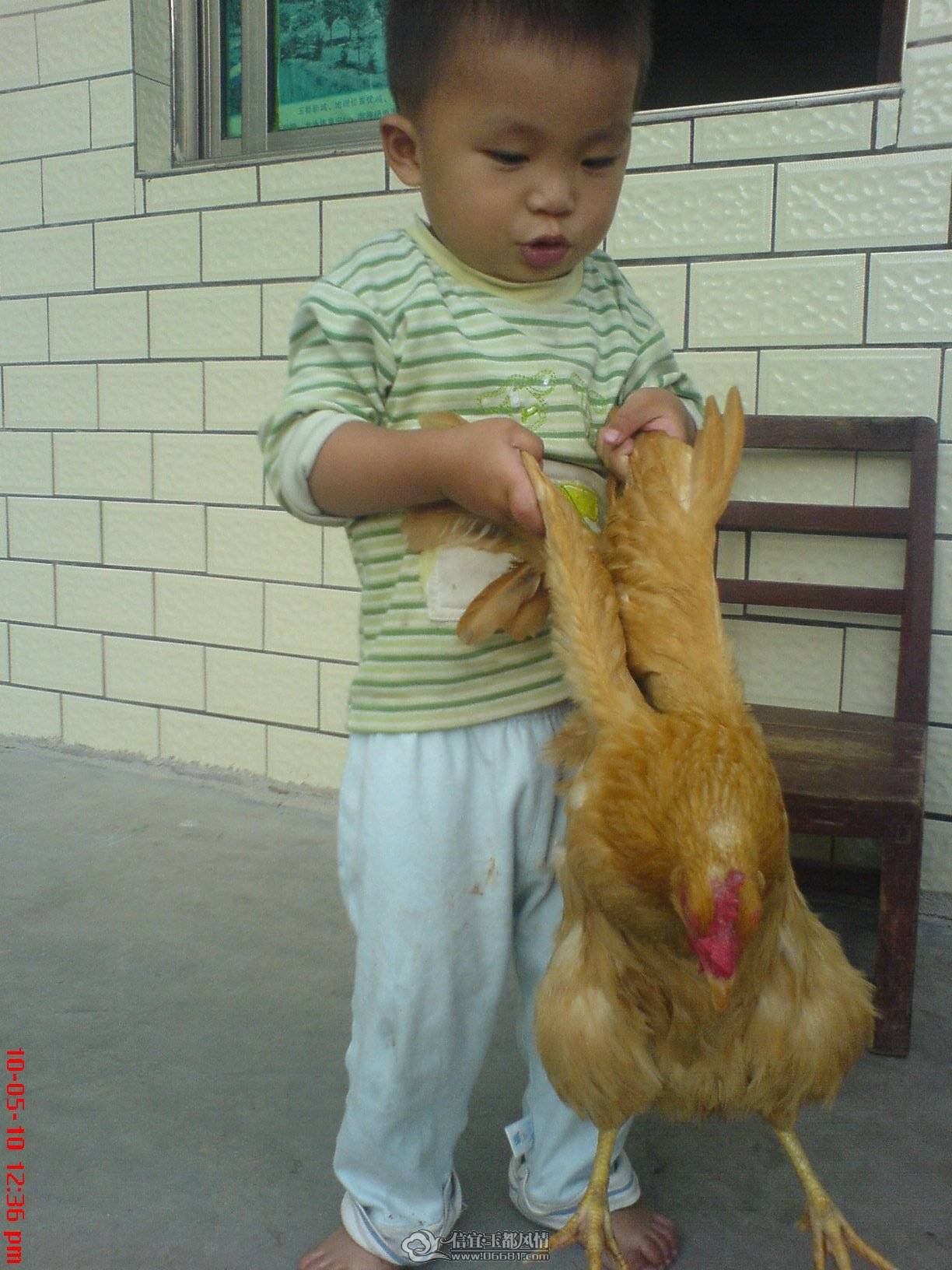 ������ũ������ӣ���׷�ż��ܡ�