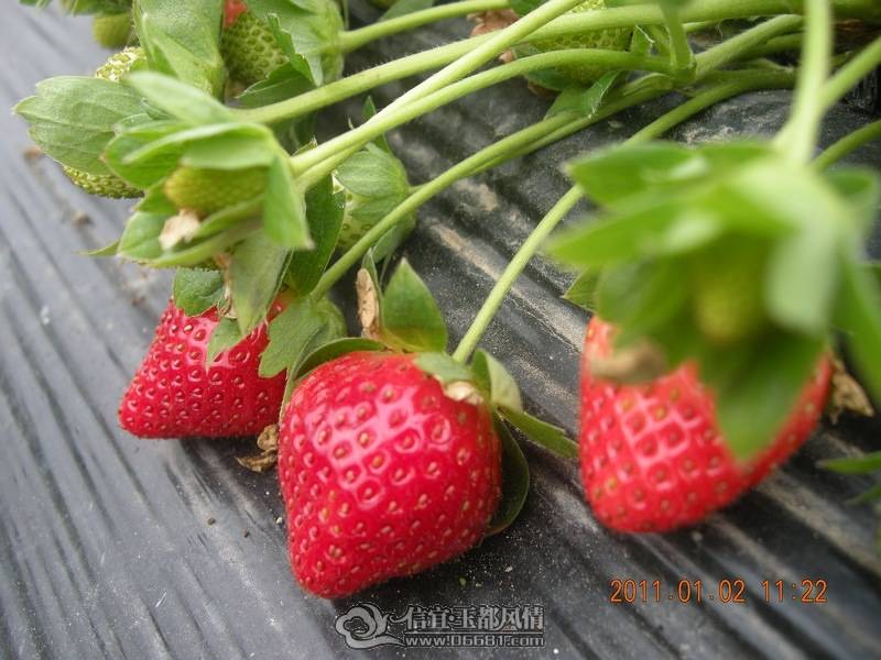 DSCN0336.jpg
