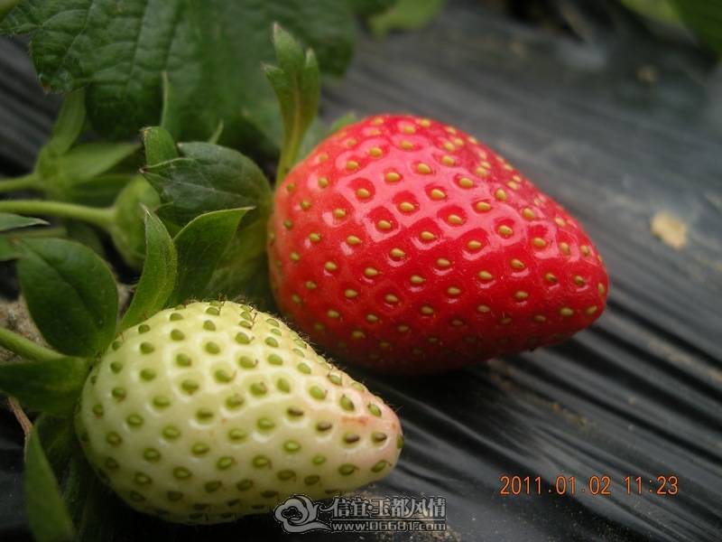 DSCN0339.jpg