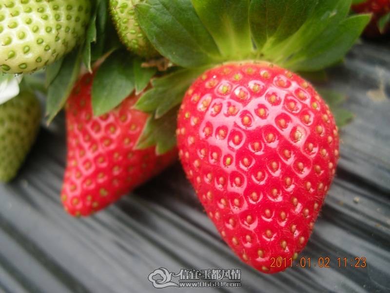 DSCN0340.jpg