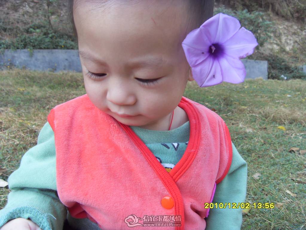 ��֪���绨�ǳ�ʲô�����˳���Ư��Ҳ��.JPG