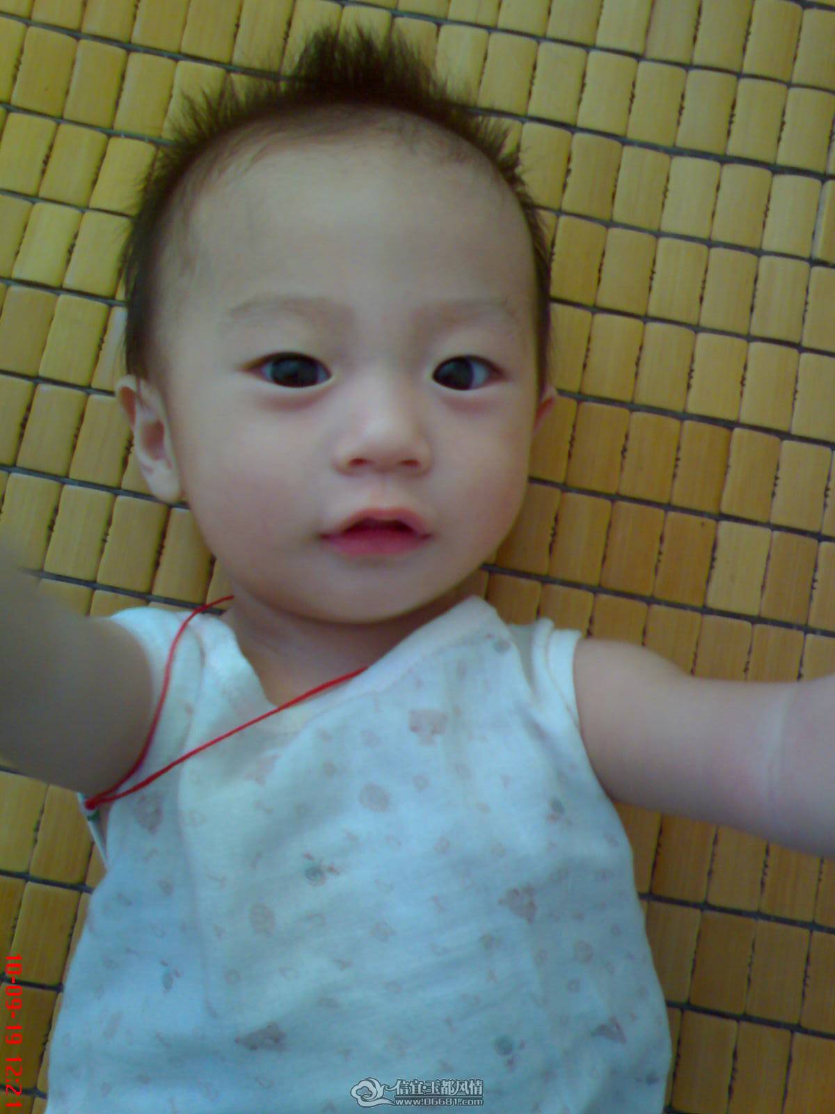 ���費��!���Լ�����������.JPG