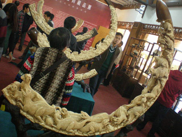 PC260323.JPG