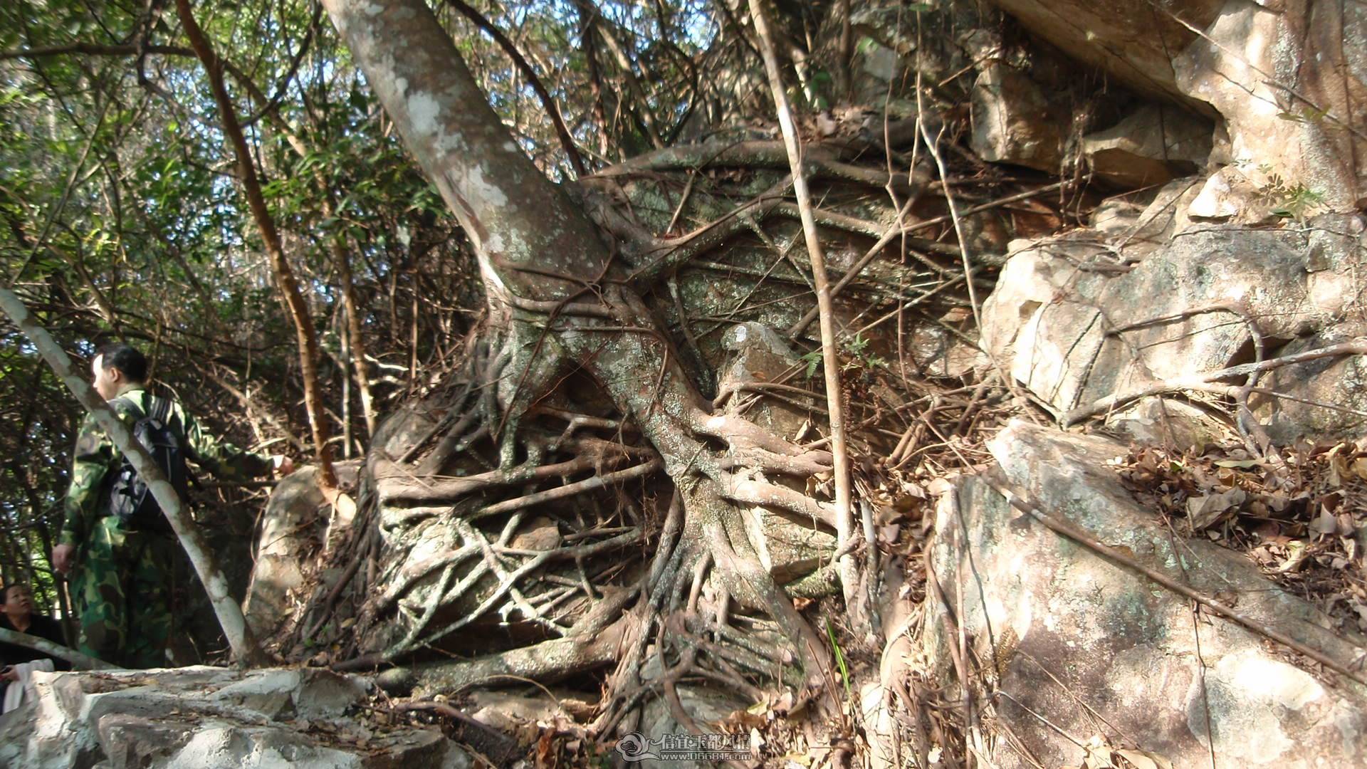 P1010026.JPG
