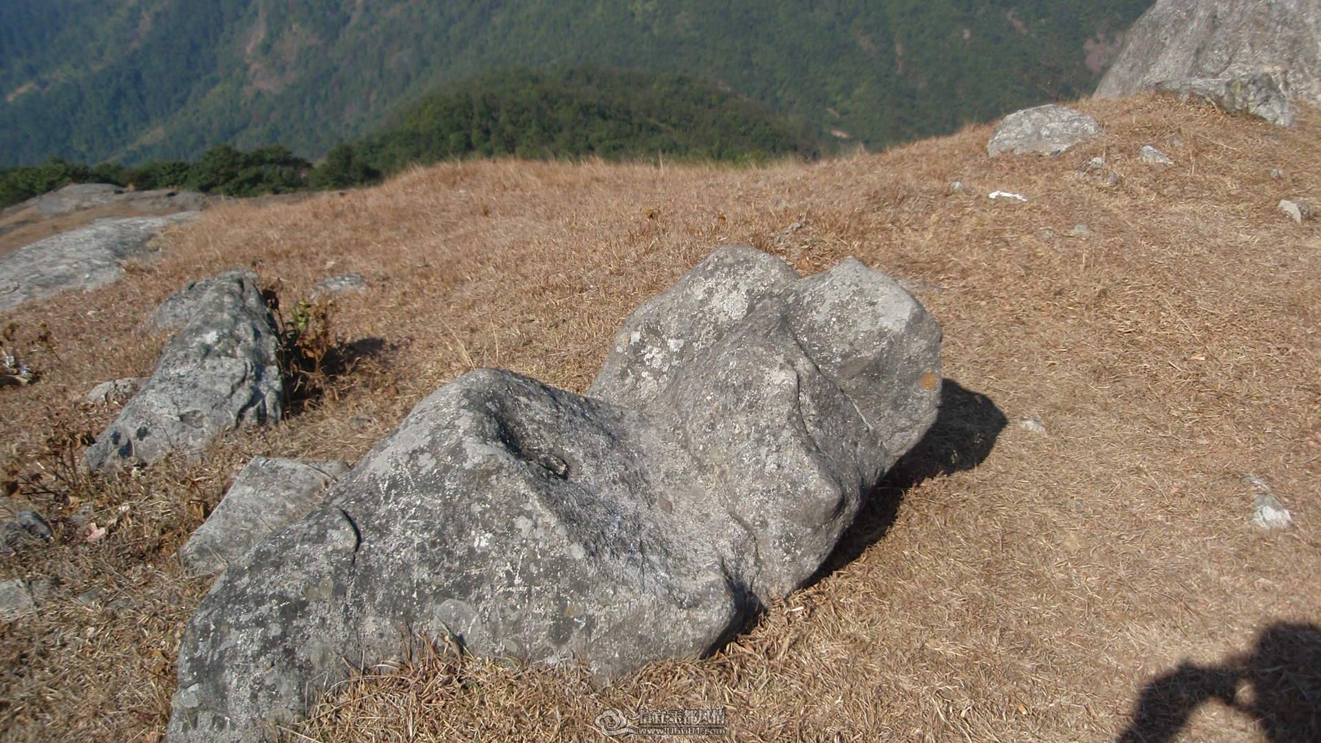 P1010074.JPG