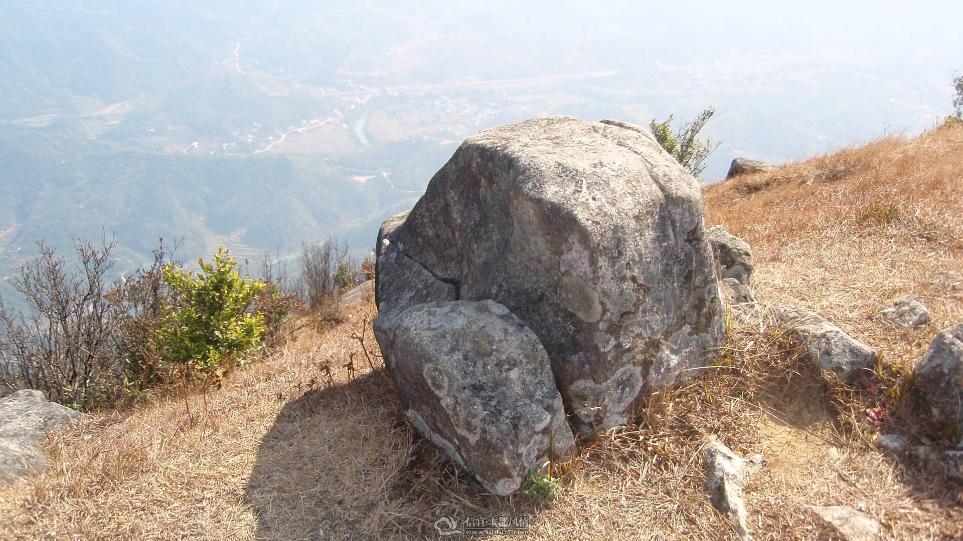 P1010078.JPG