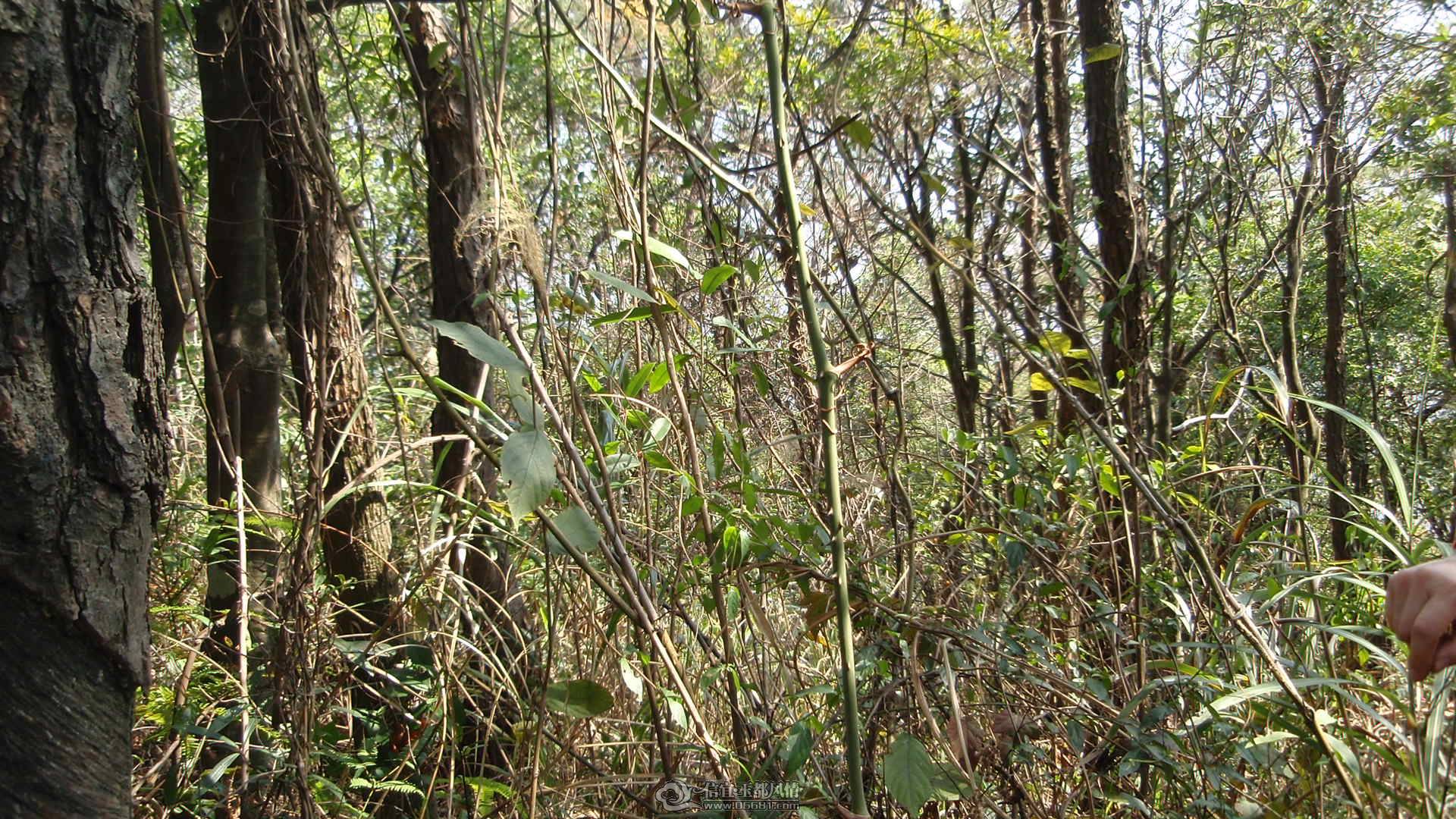 P1010089.JPG