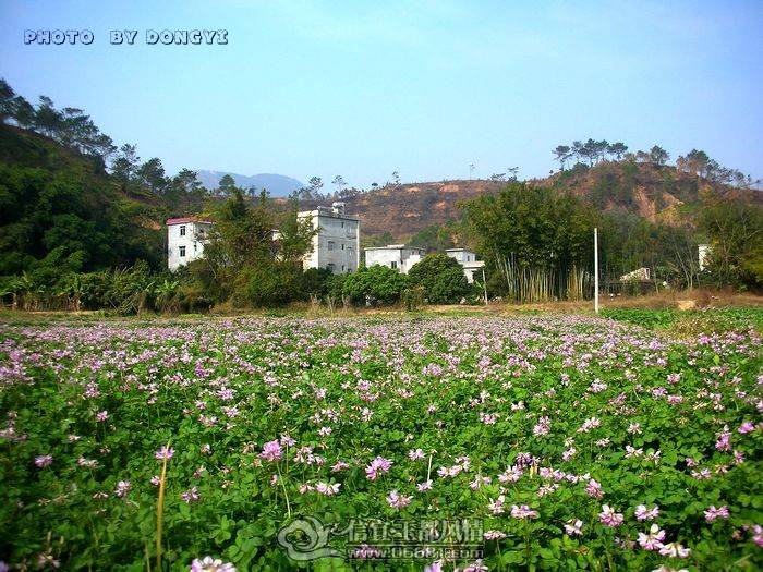 DSCN4231_conew1.jpg