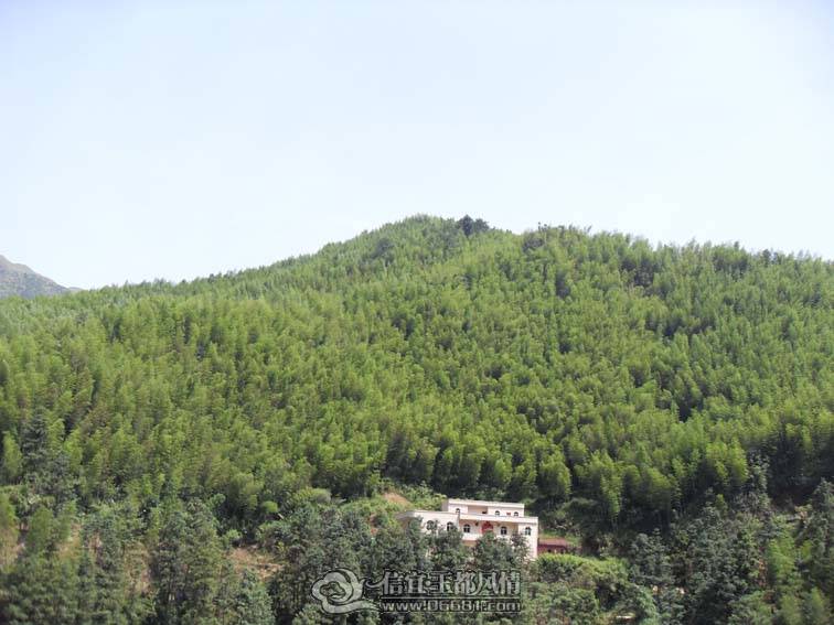 SDC10639.jpg