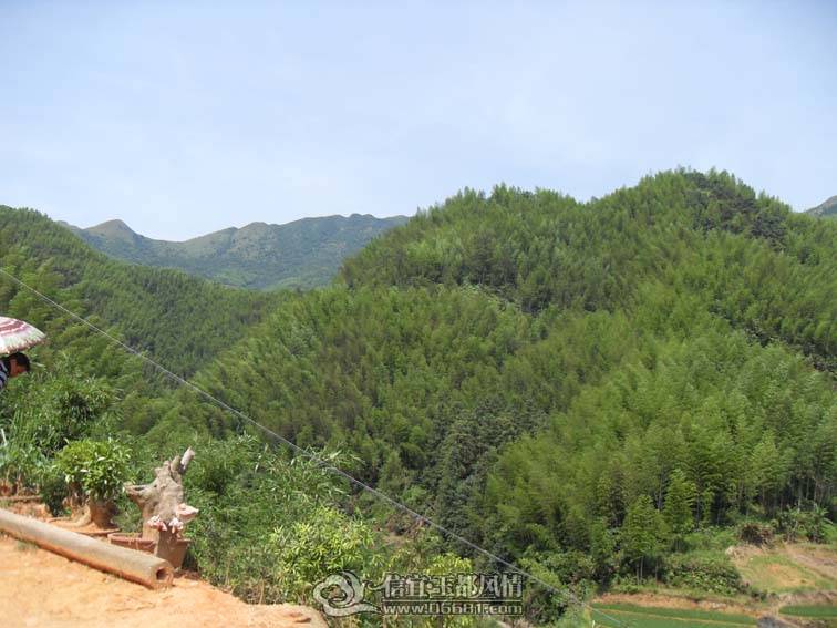 SDC10641.jpg
