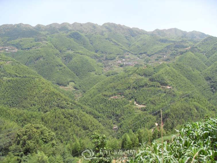 SDC10653.jpg