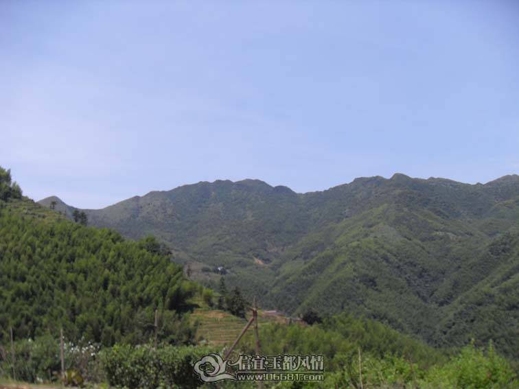 SDC10660.jpg