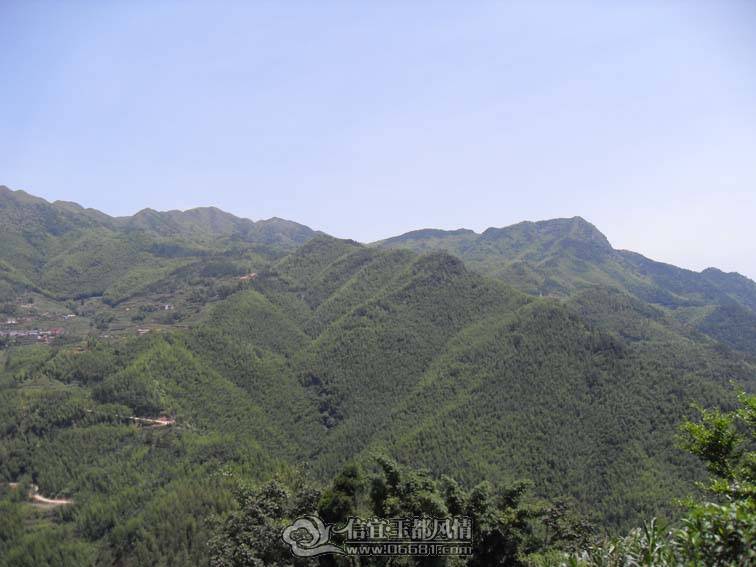 SDC10661.jpg