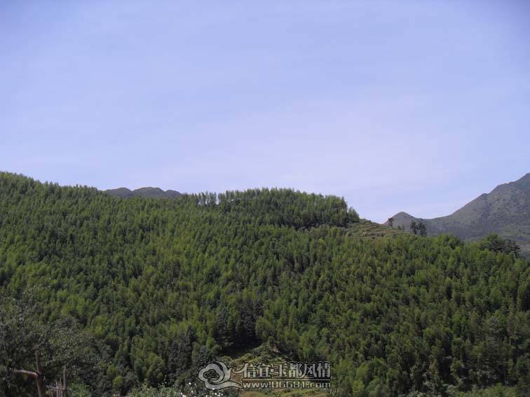 SDC10662.jpg