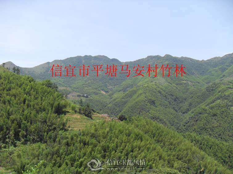 SDC10663 ����.jpg