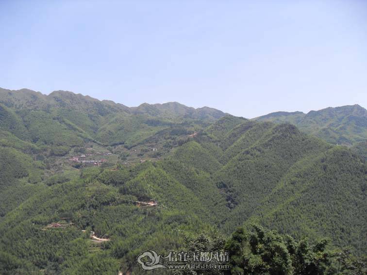 SDC10665.jpg