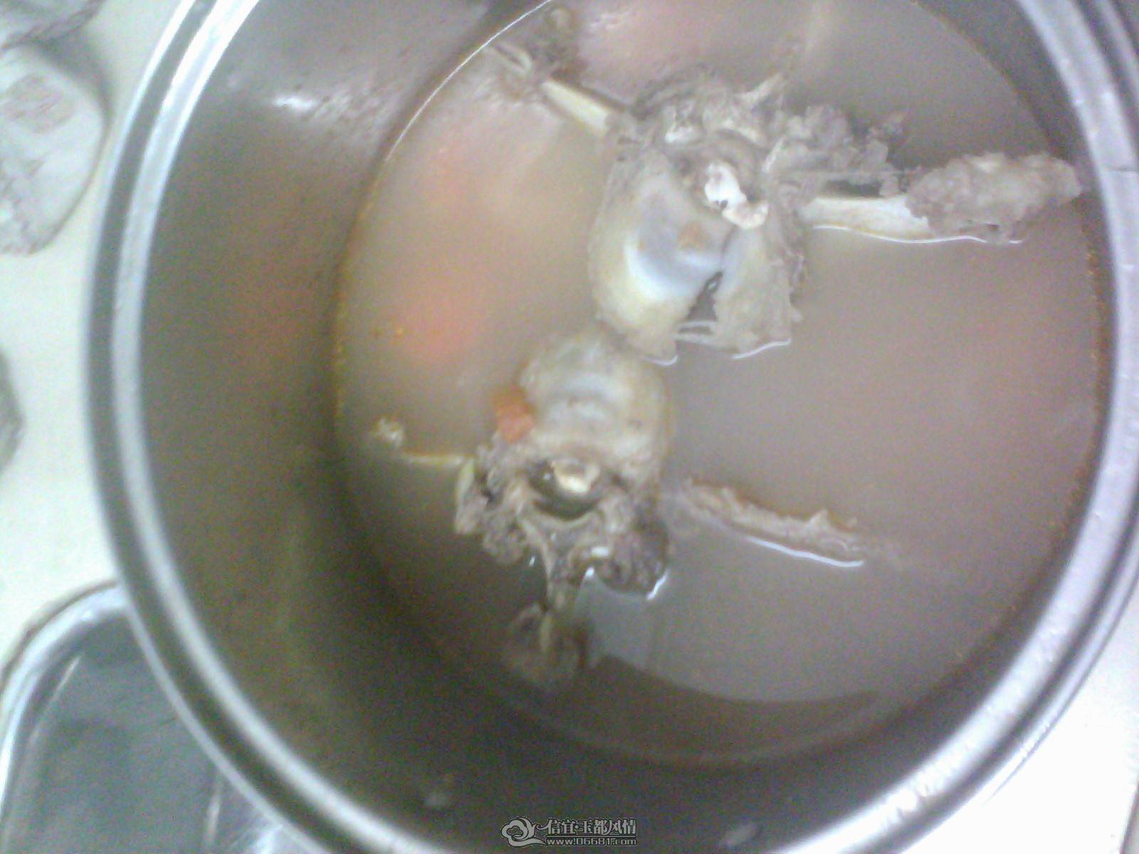 20110121E002.jpg
