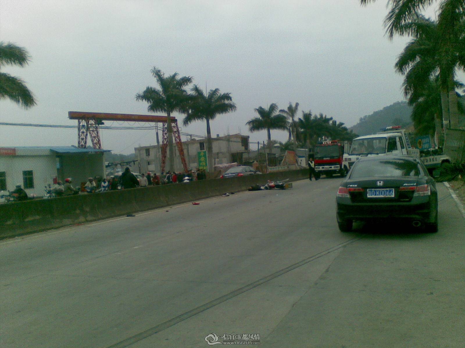 20110126_003.jpg